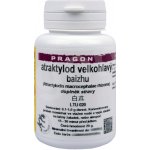 Sinecura Atraktylod vejčitý prášek cangzhu 20 g – Hledejceny.cz