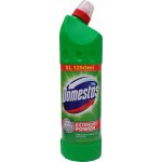 Domestos Extended Power čisticí přípravek na toalety Pine 1250 ml – Zbozi.Blesk.cz