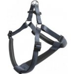 FP Postroj DAYTONA P – Sleviste.cz