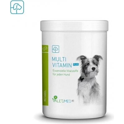 Valetumed Multi-Vitamin Plus 1 kg – Hledejceny.cz