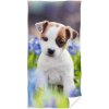 Ručník Carbotex plážová osuška se stěňátkem Jack Russell 100% bavlnafroté s gramáží 300 gr./m² 70 x 140 cm