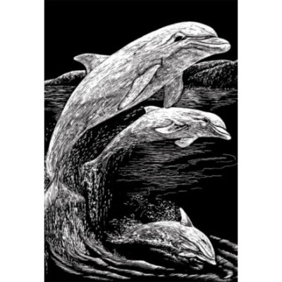 Royal & Langnickel Stříbrný škrabací obrázek Skákající delfíni