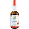 Doplněk stravy na imunitu Salvia Paradise Guarana AF tinktura 30 ml