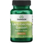 Swanson Lactobacillus Gasseri 3 miliardy CFU 60 rostlinných kapslí – Hledejceny.cz