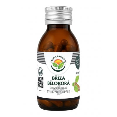Salvia Paradise Bříza bělokorá kapsle 60 ks – Hledejceny.cz