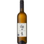 Chateau Selešťany Rulandské šedé 2020 13% 0,75 l (holá láhev) – Hledejceny.cz