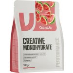 OstroVIT Creatine Monohydrate 500 g – Zboží Mobilmania