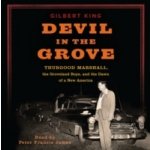 Devil in the Grove King Gilbert, James Peter Francis audio – Hledejceny.cz