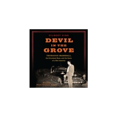 Devil in the Grove King Gilbert, James Peter Francis audio – Hledejceny.cz