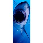 WEBLUX 222972216 Samolepka na dveře fólie 3d rendered illustration of a great white shark 3D tavené ilustrace velkého bílého žraloka rozměry 90 x 220 cm – Zbozi.Blesk.cz