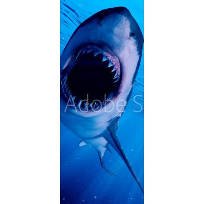 WEBLUX 222972216 Samolepka na dveře fólie 3d rendered illustration of a great white shark 3D tavené ilustrace velkého bílého žraloka rozměry 90 x 220 cm – Zbozi.Blesk.cz