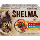 Shelma Bezobilné pro kočky maso a ryby 12 x 85 g