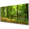 Obraz akrylový obraz Les Příroda 100x50 cm