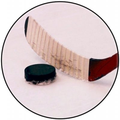 Lední hokej MINI logo L 1 č.179