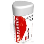 Pangamin Gnostin 200 tablet – Hledejceny.cz