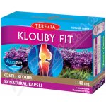 Terezia Company Klouby fit 60 kapslí – Hledejceny.cz