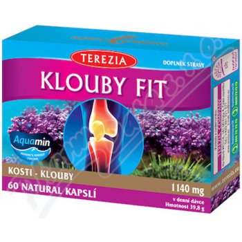 Terezia Company Klouby fit 60 kapslí