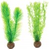 Akvarijní rostlina I--Z BiOrb Green Feather Fern set zelené 20,5 cm
