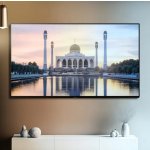 Panasonic TV-55W90AEG – Sleviste.cz
