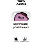 Theo CASSIS 200 g – HobbyKompas.cz