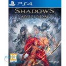 Hra na PS4 Shadows: Awakening