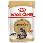 Royal Canin Maine Coon pro kočky 85 g – Hledejceny.cz