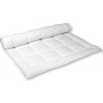 2G Lipov přikrývka Aloe Vera 200x220 – Zboží Dáma