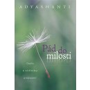 Adyshanti: Pád do milosti Kniha