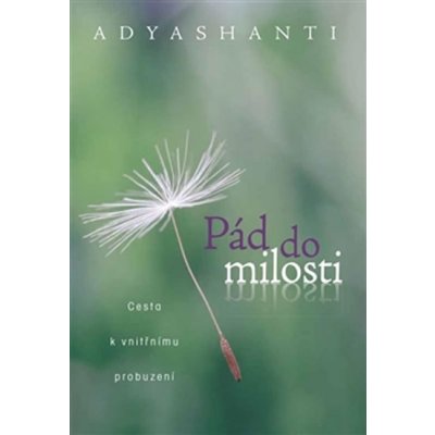 Adyshanti: Pád do milosti Kniha