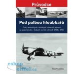 Pod palbou hloubkařů - Útoky amerických a britských stíhacích letounů na pozemní cíle v českých zemích v letech 1944 a 1945 - Filip Vojtášek – Hledejceny.cz