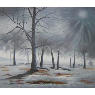 Obraz - Zimní les 50 cm x 60 cm