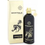 Montale Paris Arabians Tonka parfémovaná voda unisex 100 ml – Hledejceny.cz