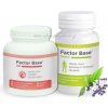 Doplněk stravy na detoxikaci Factor Base NO 150 g Factor Base DETOX 60 tablet