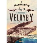 Nádherný svět moří a oceánů Velryby - Eliseo García Nieto – Hledejceny.cz