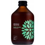 Natu Kombucha bio probiotický nápoj Cucumber & Coriander 315 ml – Zboží Dáma Natu Kombucha bio probiotický nápoj Cucumber & Coriander 315 ml – Zboží Dáma