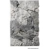 Akvarijní dekorace Back To Nature Slimline 80B 80x50 cm River Basalt/Gray