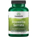 Swanson Boswellia Serrata 500 mg 120 kapslí – Hledejceny.cz