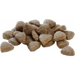 Pro Plan Large Puppy Athletic Healthy Start kuře 12 kg – Zboží Mobilmania
