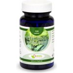 Natural Pharm Vitamín B9 Kyselina listová 100 tablet – Hledejceny.cz