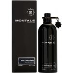 Montale Aoud Cuir d'Arabie parfémovaná voda pánská 100 ml – Hledejceny.cz