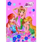 Akim nakladatelství s.r.o. Winx club Omalovánky A4 – Hledejceny.cz