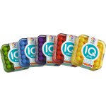 Smart Games IQ Mini – Zboží Živě