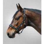 WALDHAUSEN Ohlávka Little Horse černá – Zboží Dáma