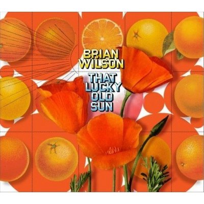Brian Wilson - That Lucky Old Sun D CD