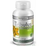 Tribulus terrestris 400 mg 120 kapslí – Hledejceny.cz