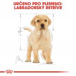 Royal Canin Labrador Retriever Puppy 3 kg – Sleviste.cz
