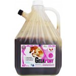 Gelapony Selenium Biosol 3 l – Hledejceny.cz