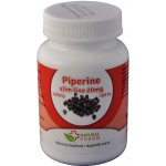 Natural Pharm Piperine slim line 20 mg 100 tablet – Hledejceny.cz