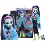 Mattel Monster High Creepover Party Frankie Stein Doll – Zboží Mobilmania