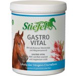 Stiefel Byliny na žaludek 1 kg – Zbozi.Blesk.cz